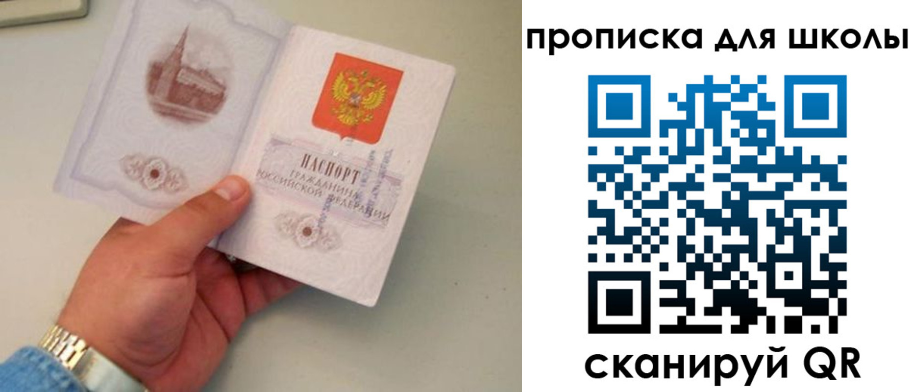 временная регистрация поиск в Новоузенске